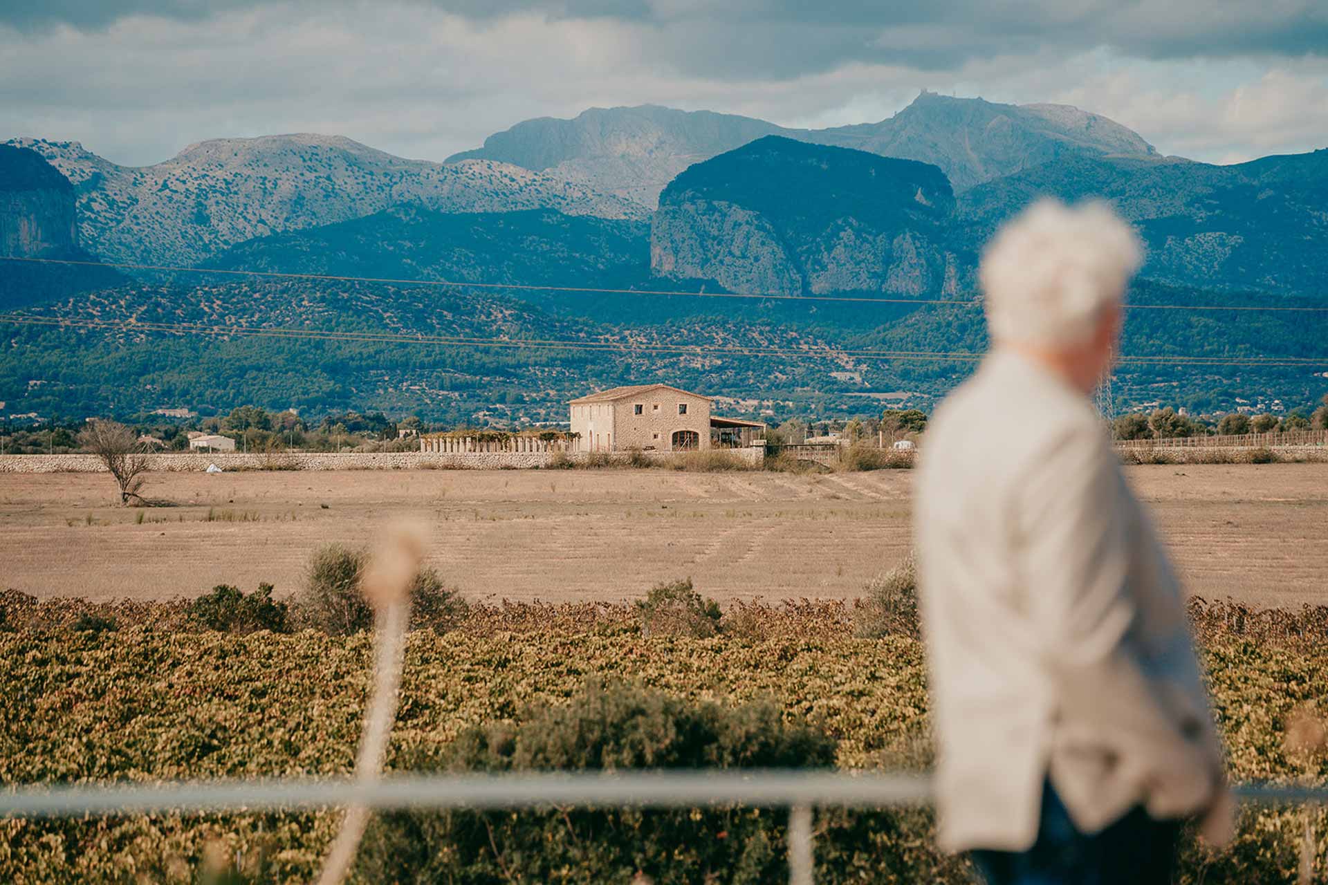 Blick von der Bodega Son Juliana über die Weinberge zur Tramuntana auf Mallorca