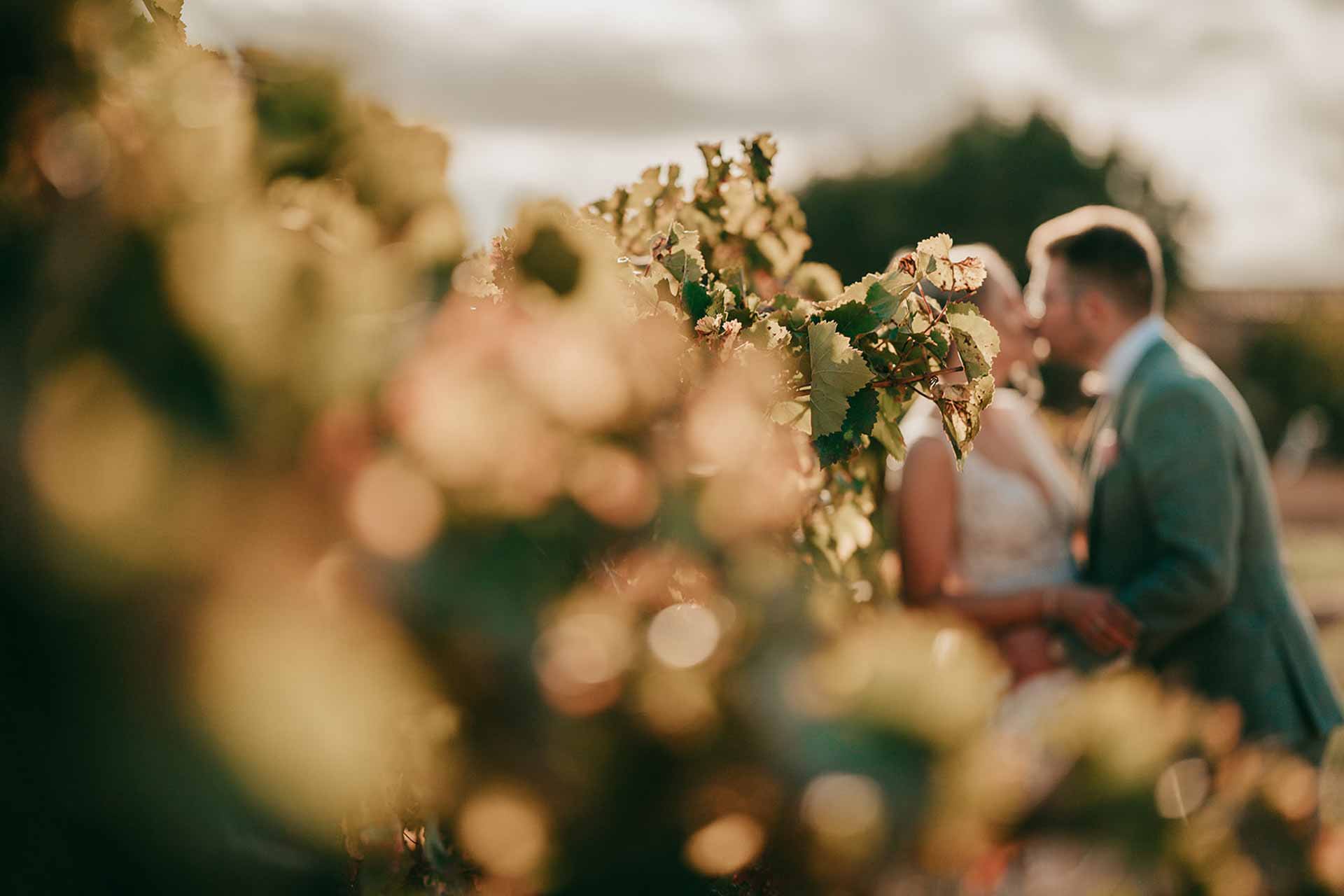 Feiern beim Wein-Empfang der Bodega-Hochzeit auf Mallorca
