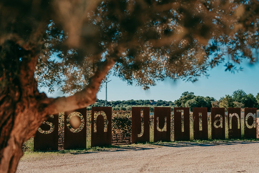 Son Juliana zur Bodega-Hochzeit